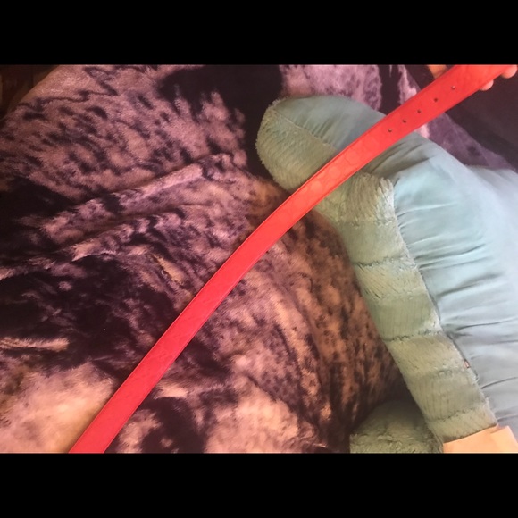 Gucci belt - Picture 4 of 7